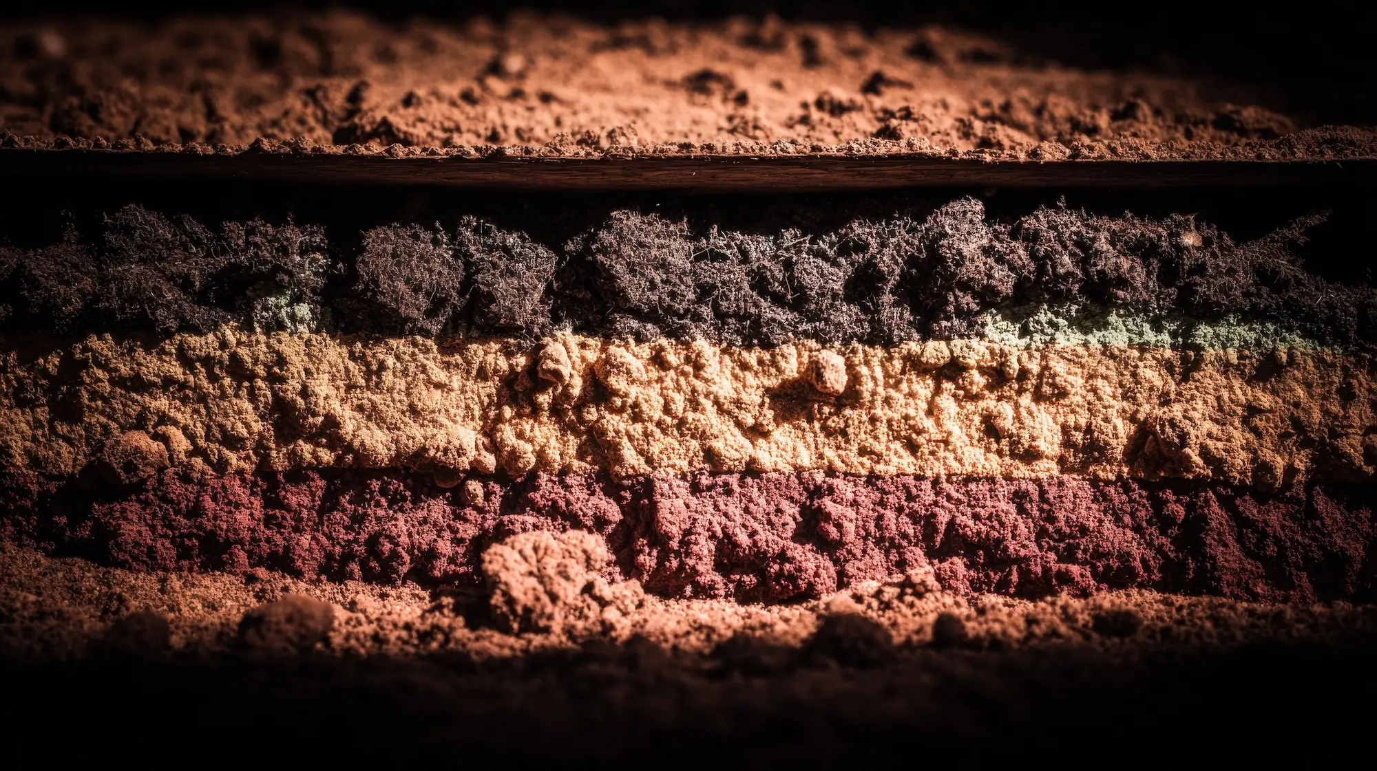 Close-up of distinct soil strata layers with varying colors and textures in a soil profile.